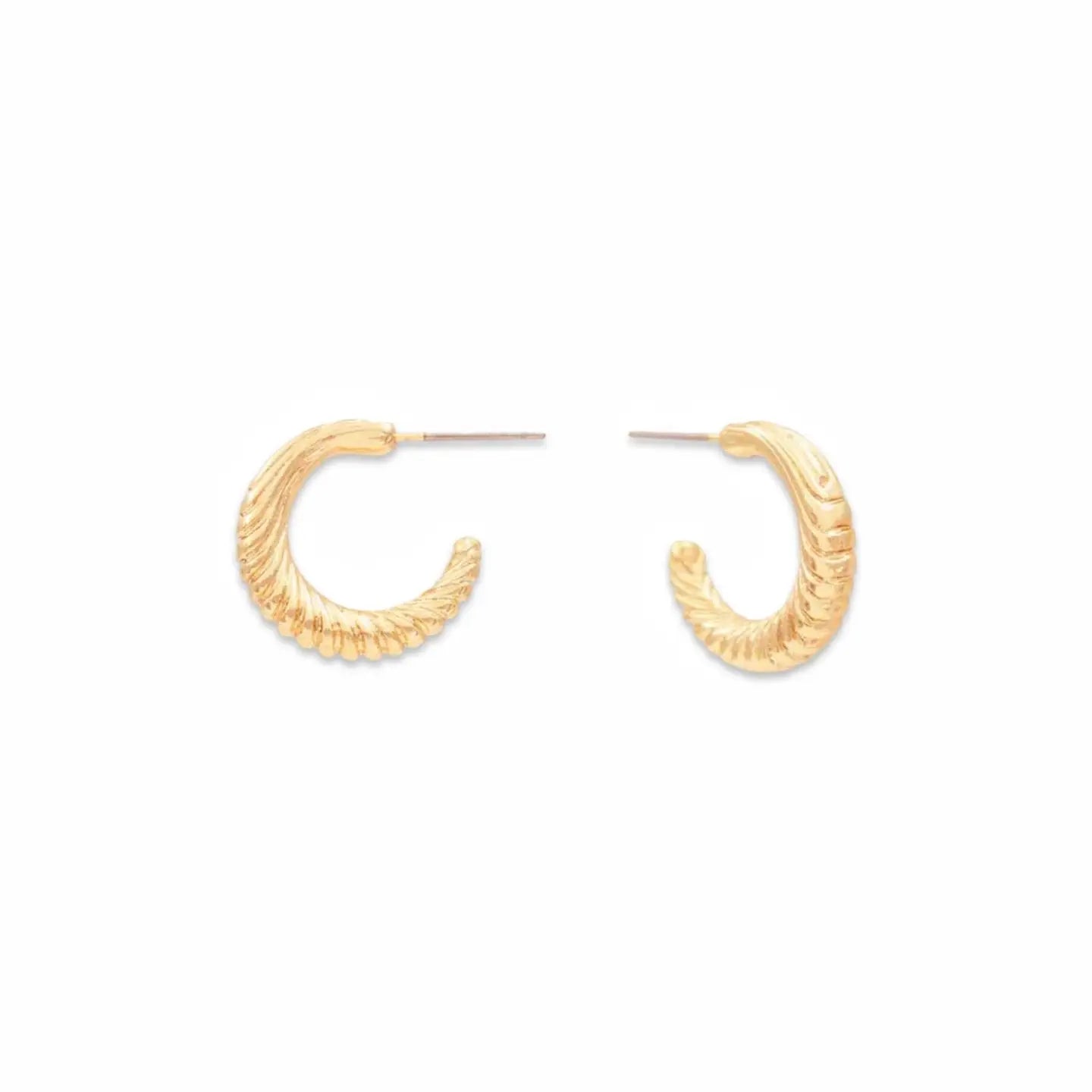 Petite Flat Shell Gold Hoop