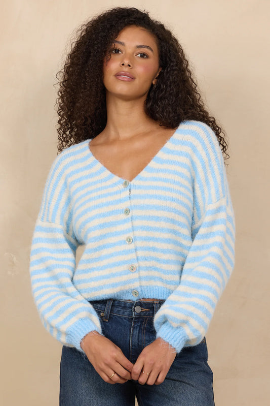 Vintage Havana Baby Blue Cardigan