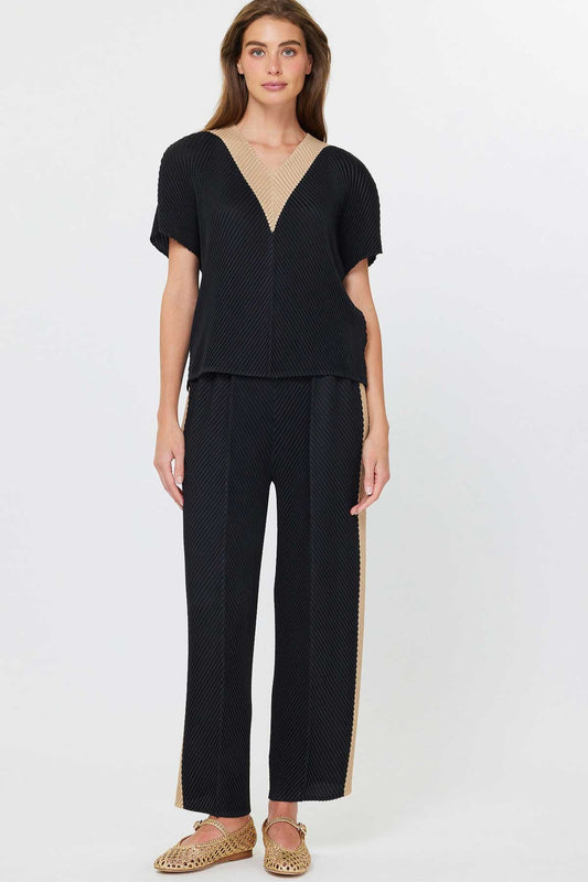 V Neck Dolman Sleeve Pleated Top