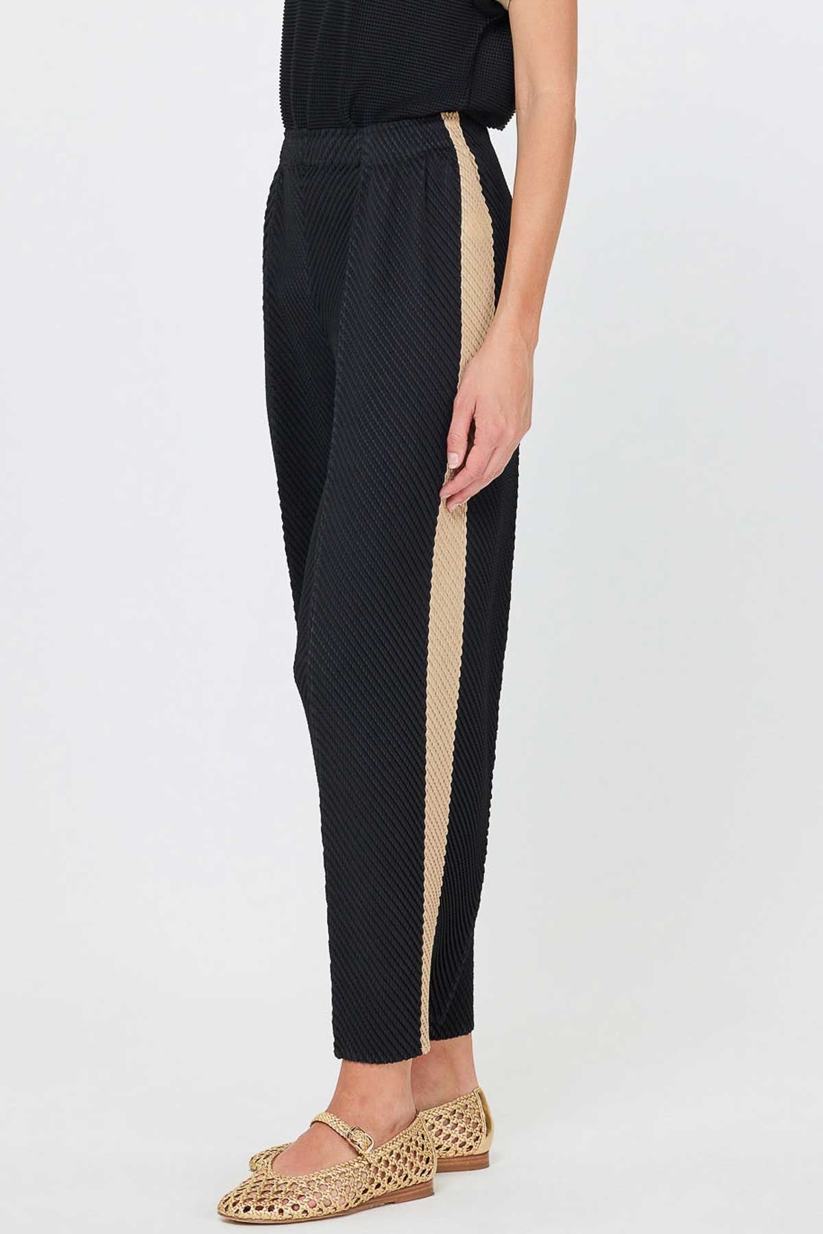 Pleated Tapered Pants W/ Side Panel