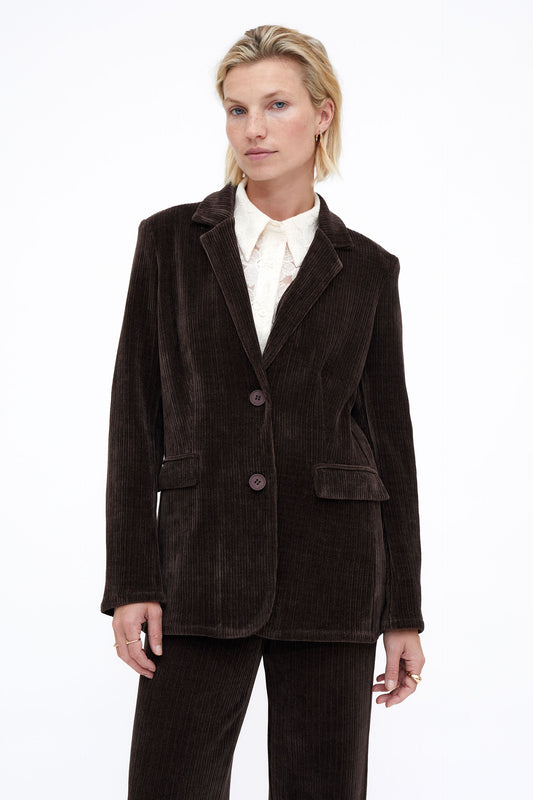 Wild Pony Corded Chenille Blazer