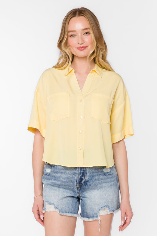 Velvet Heart Brandon Button Up