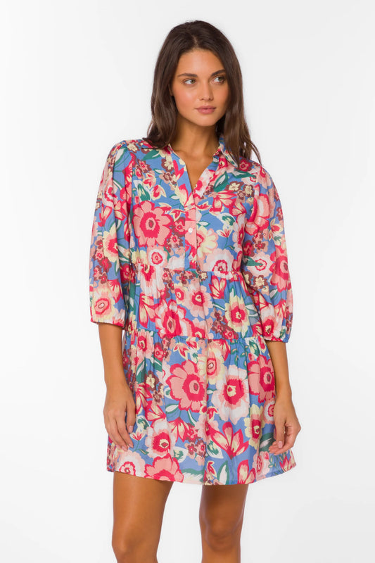 Velvet Heart Quintessa Spring Garden Dress