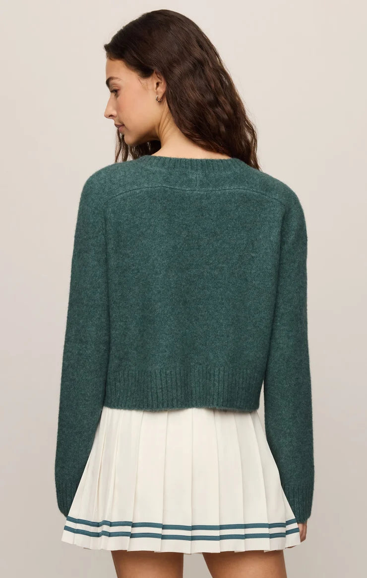 Z Supply Stand In Sweater