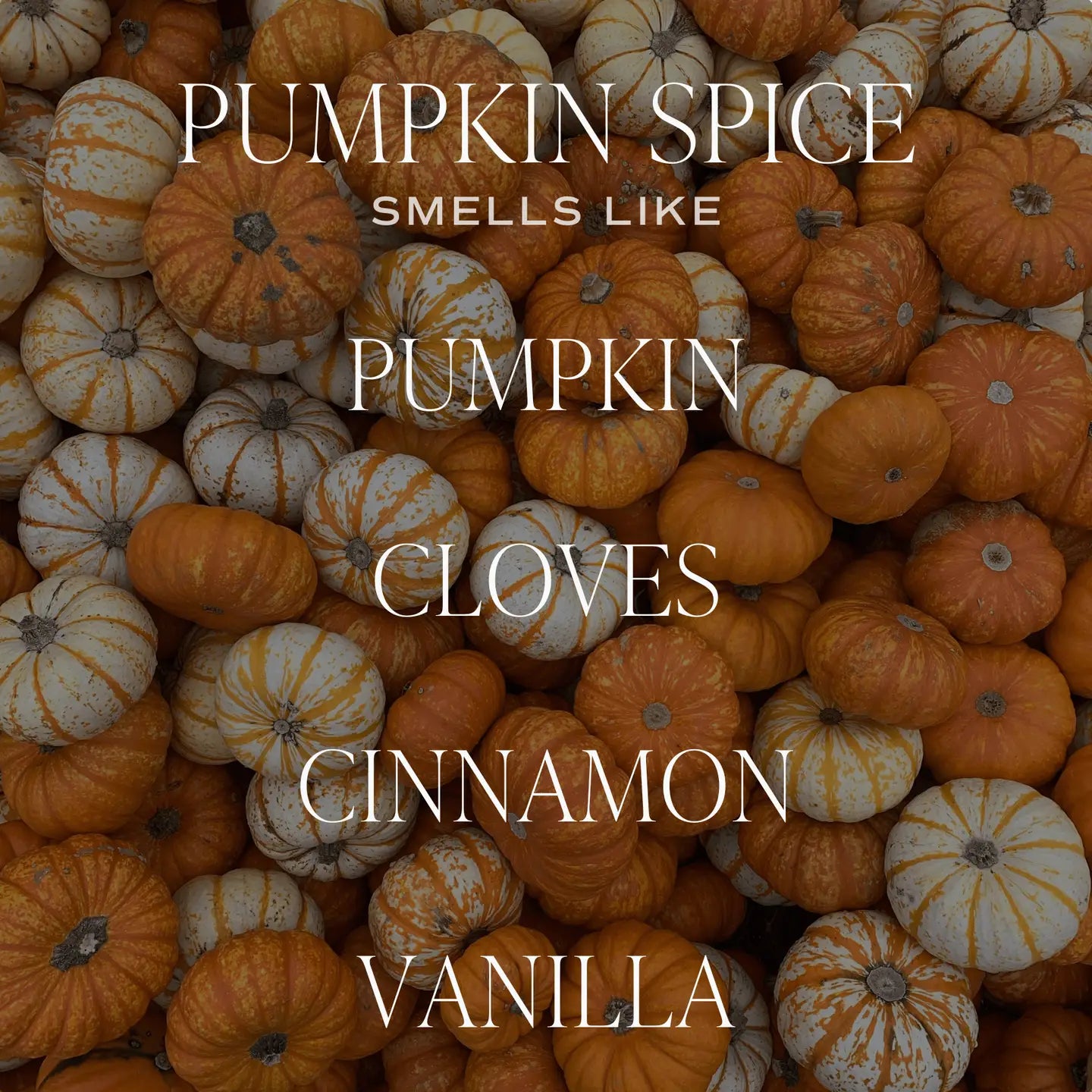 Sweet Water Decor "Pumpkin Spice" Candle